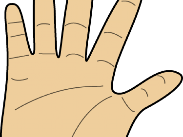 Cartoon Clipart Hand (640x480), Png Download