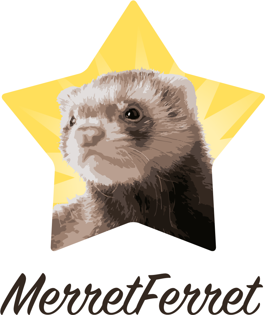 Ferret (1002x1232), Png Download