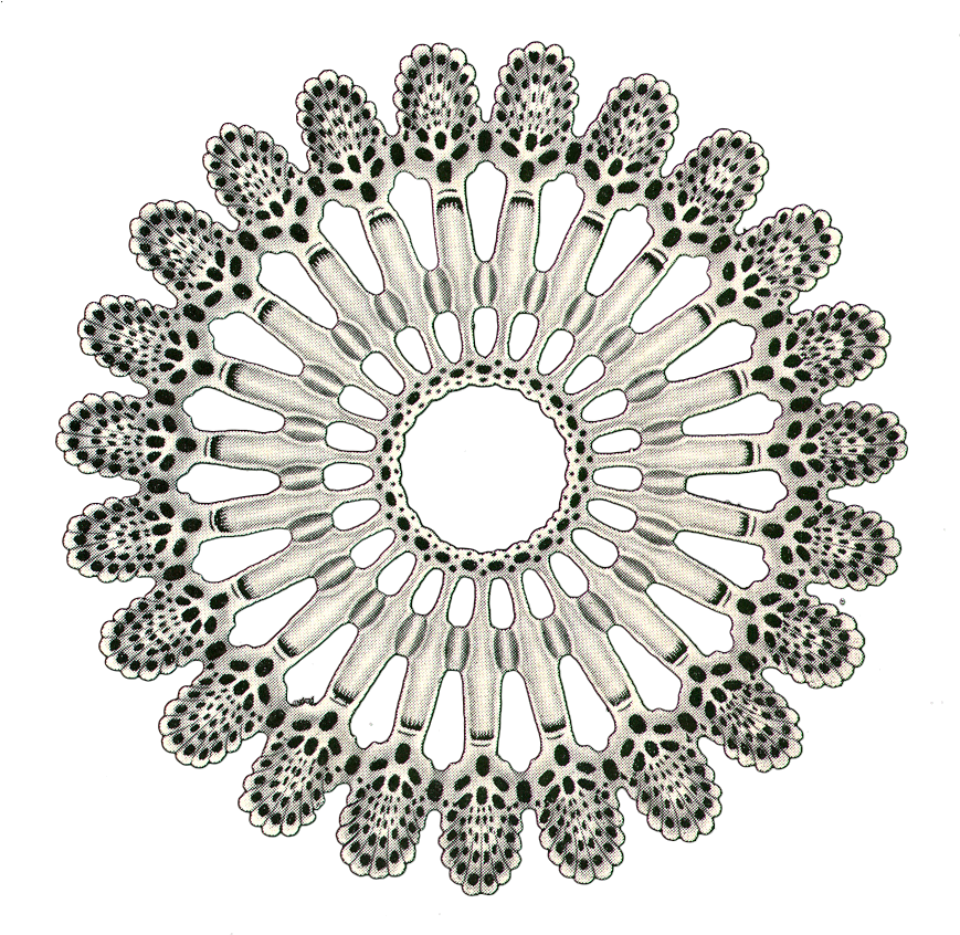 Pompa Acciaio Per Bici (868x858), Png Download