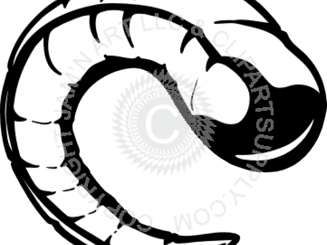 Svg Freeuse Cliparts Free Download Clip Art Carwad - Ram Horns Clipart (640x480), Png Download