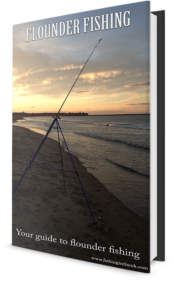 Packed With Tips And Techniques To Help You Catch Flounder - Poster (1185x1000), Png Download