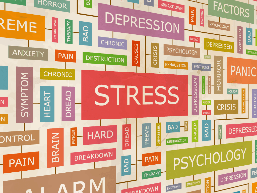 View Larger Image Stress - Online Research Skills (1024x768), Png Download