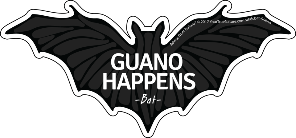 Advice From A Bat - Illustration (960x449), Png Download