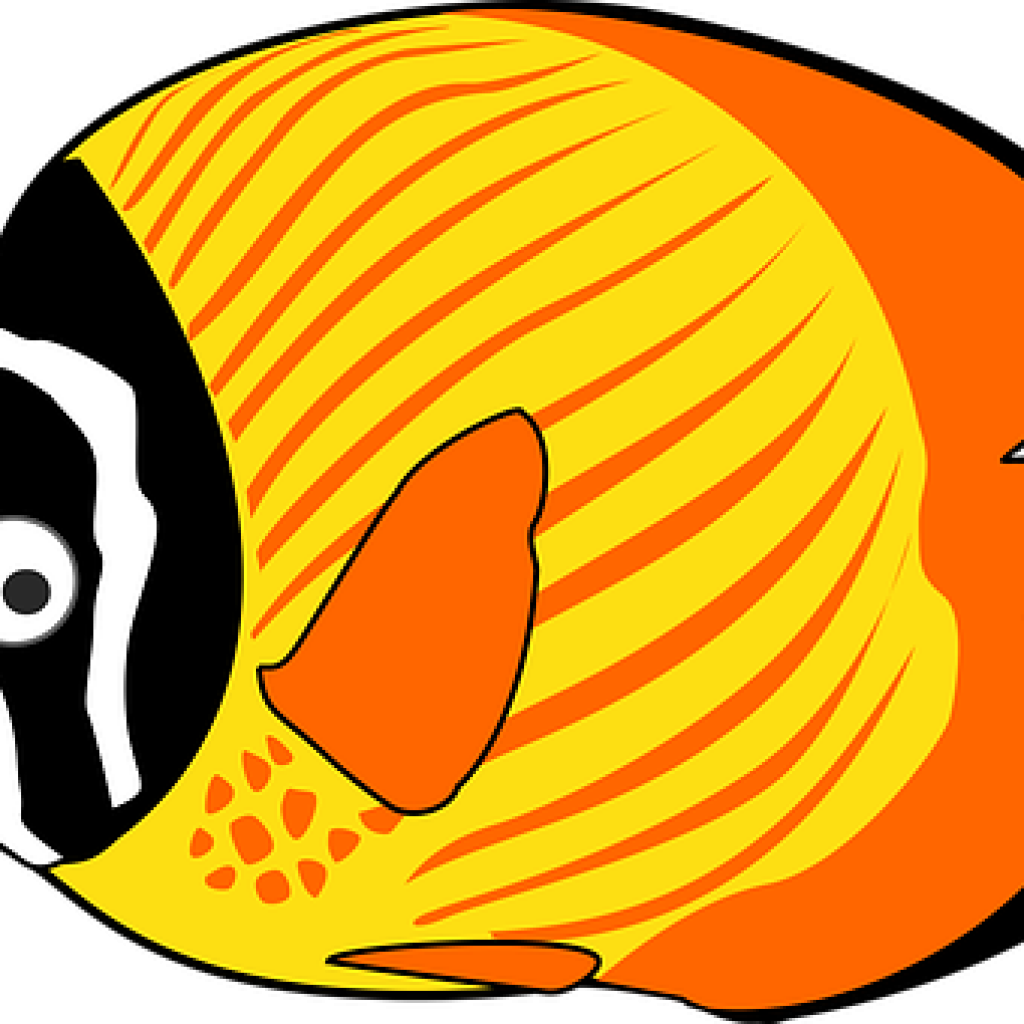 Cartoon Fish Clipart Cartoon Fish Images Pixabay Download - Fish Sea Creature Clipart (1024x1024), Png Download
