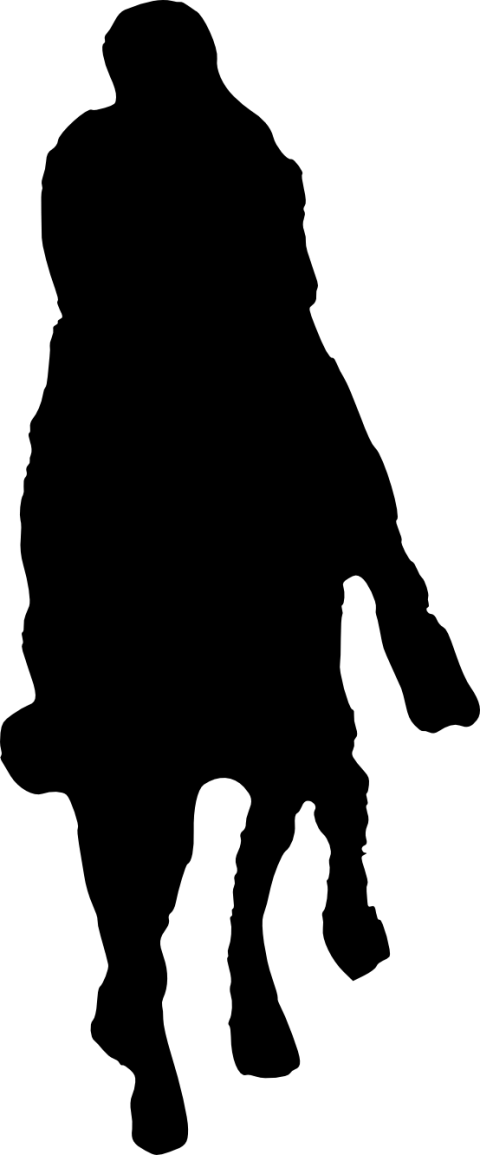 Free Png Horse Riding Silhouette Png - Silhouette Young Girl Playing (480x1155), Png Download