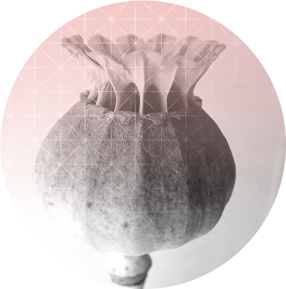 Read More - Pomegranate (650x650), Png Download