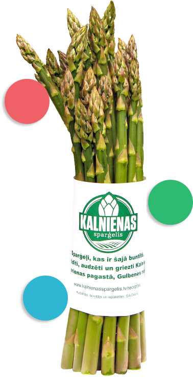 How Asparagus Is Cultivated - Bamboo (803x777), Png Download