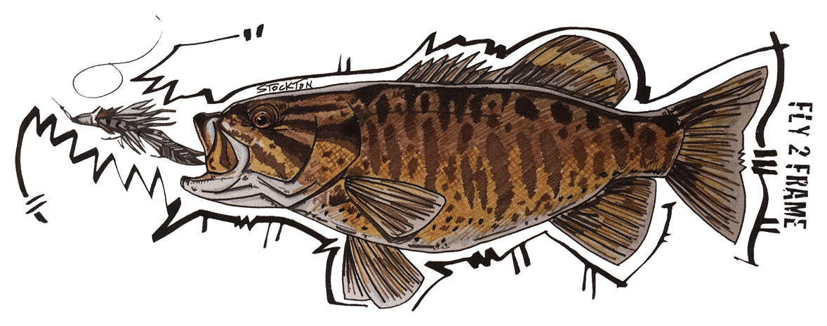 Matthew Stockton Bronzeback Smallmouth Bass Sticker - Northern Largemouth Bass (1200x1200), Png Download