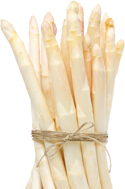 Authentic Célestine® Asparagus Of Camargue - Sculpture (465x663), Png Download