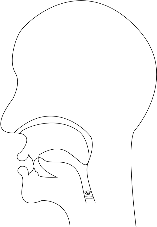 Sketch (566x800), Png Download