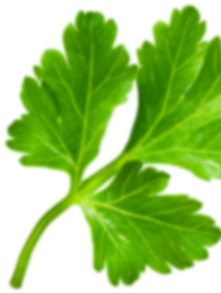 Parsley (424x815), Png Download