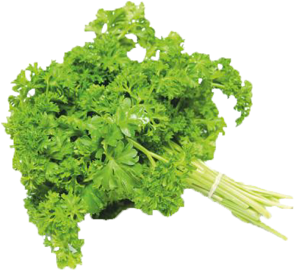 Previous - Next - Parsley Frisee (600x600), Png Download
