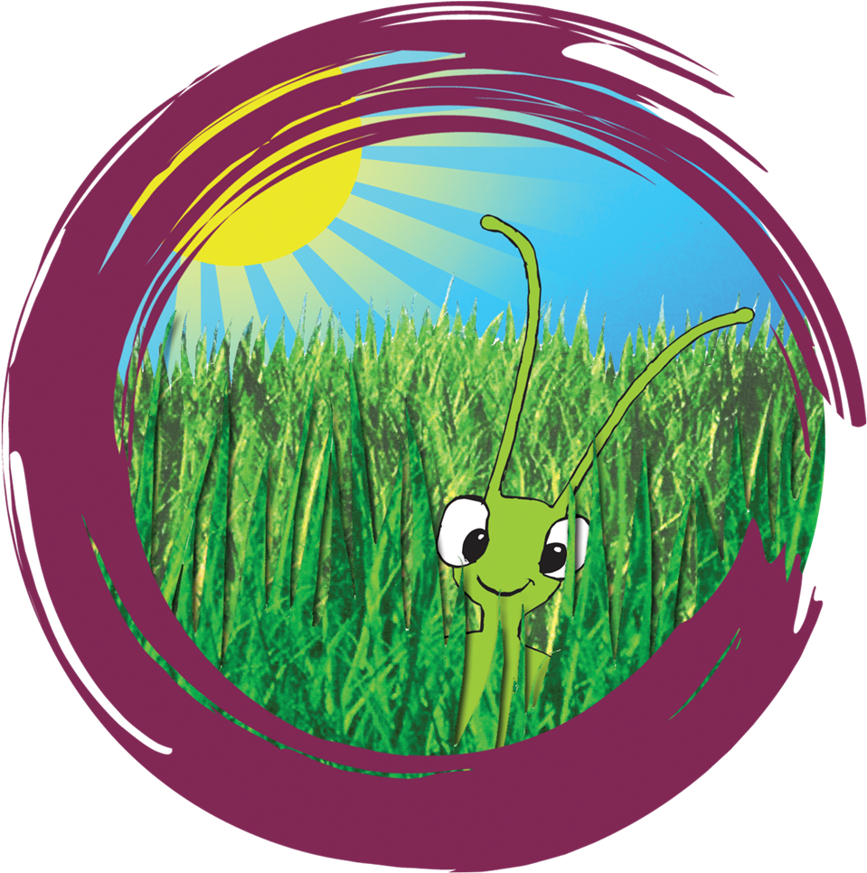 New Star Soccer 2010 Pc (964x1000), Png Download