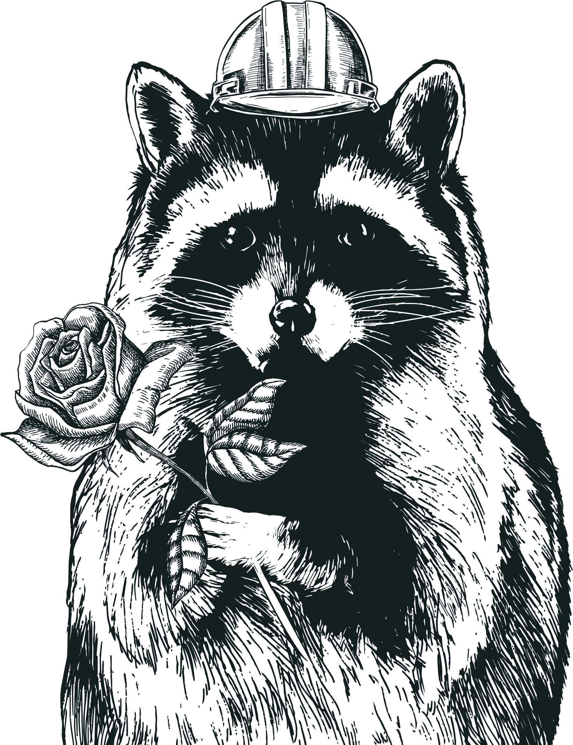 Racoon Clipart Gray - Domestic Long-haired Cat (1920x2564), Png Download