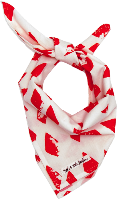 Noé & Zoë Bandana - Scarf (960x720), Png Download