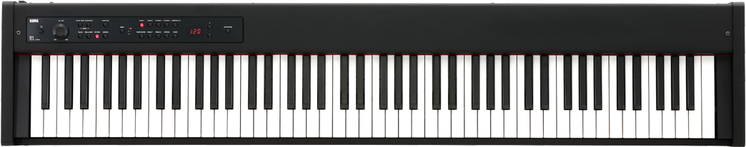 Korg D1 Digital Piano Compact Real Weighted Hammer - Casio Px 160 Bk Privia (1200x500), Png Download