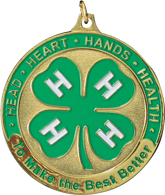 4 H Achievement Gold Medal - 4 H Clover (796x796), Png Download