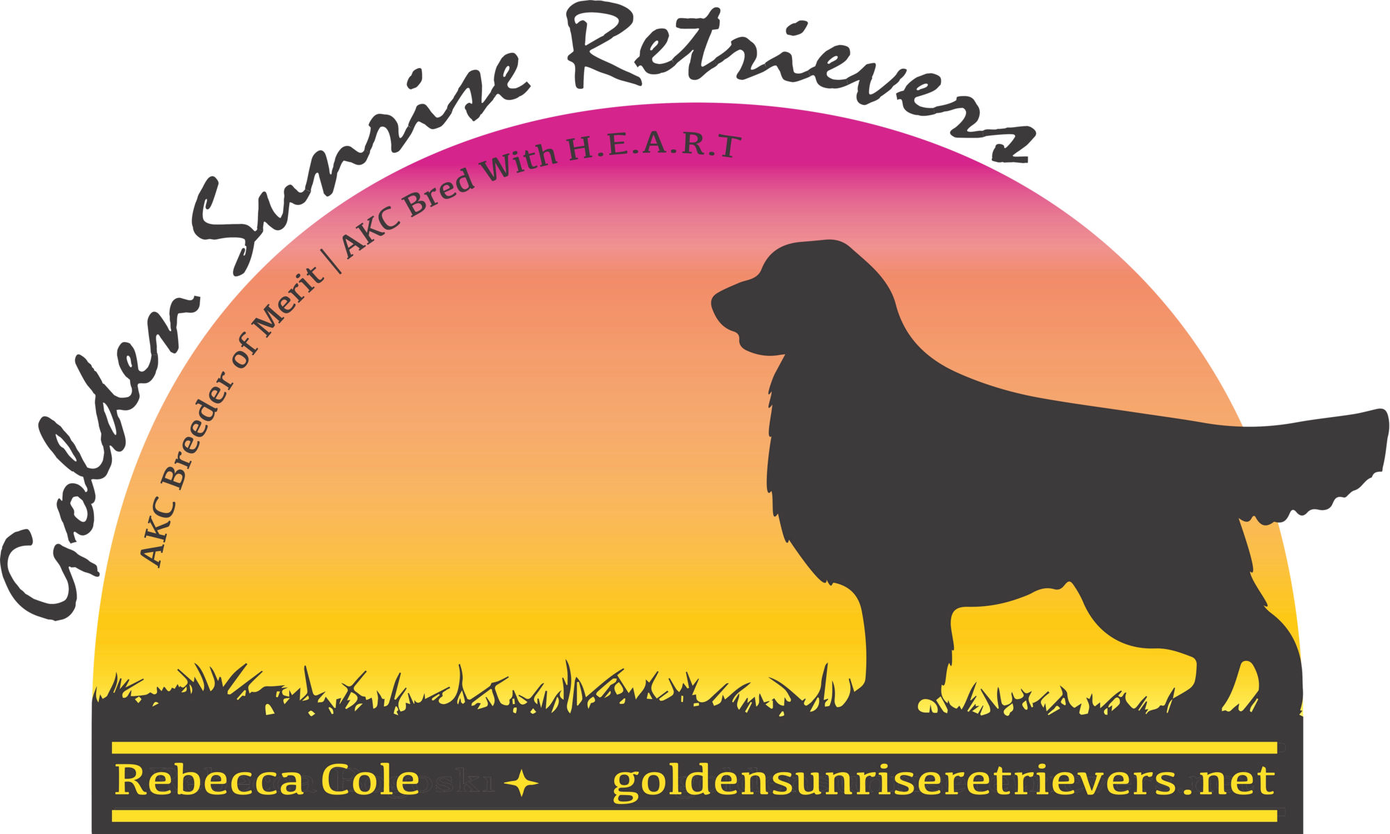 international National Honors Championriver Rock Steadmor's - Golden Retriever (1999x1200), Png Download