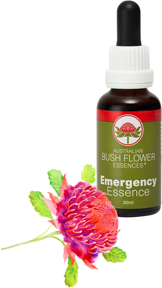 Emergency Essence And Waratah Png Waratah Experience - Essence (613x1000), Png Download