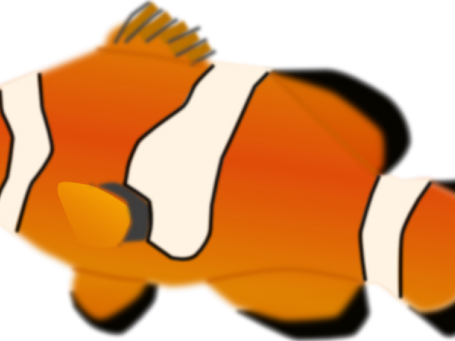 Clownfish Clipart Ocean Fish - Clown Fish No Background (640x480), Png Download