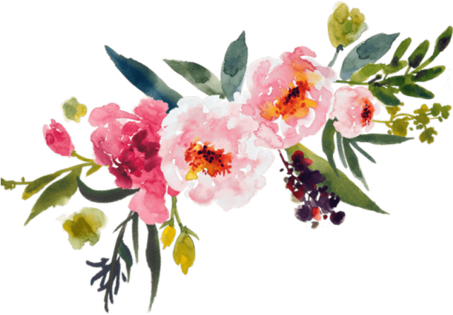Peony Clipart Peony Bouquet - Watercolor Flowers Transparent Background (640x480), Png Download
