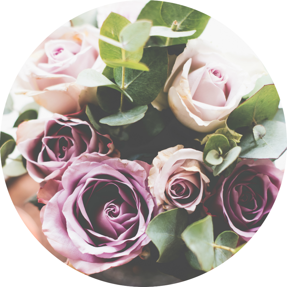 Purple Roses - Garden Roses (1000x1000), Png Download