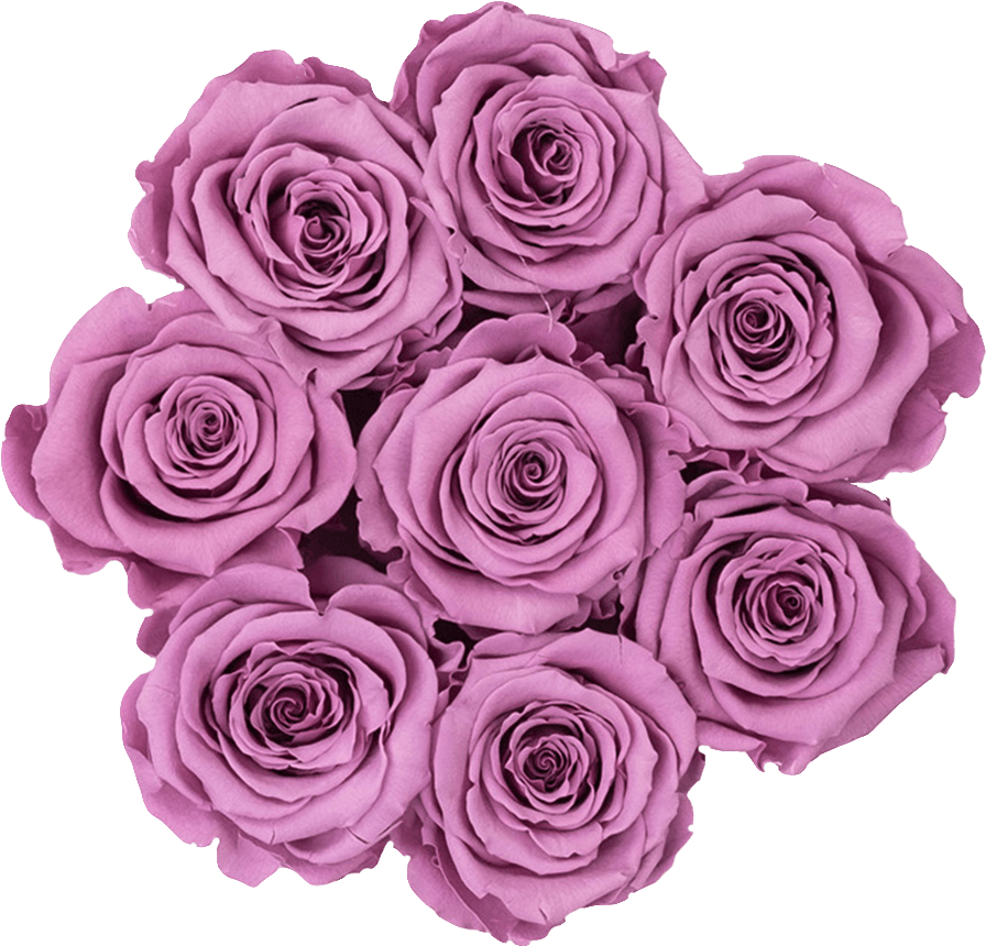 Mauve - Mauve Rose Flowers Png (1295x1200), Png Download