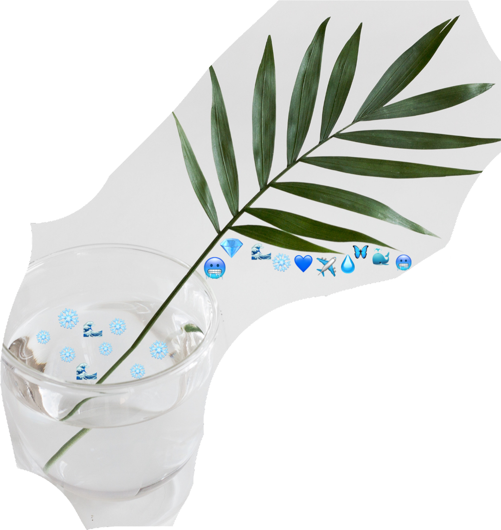 Blue Emoji Challenge Water Nature Plants Stayhydrated - Houseplant (1024x1084), Png Download