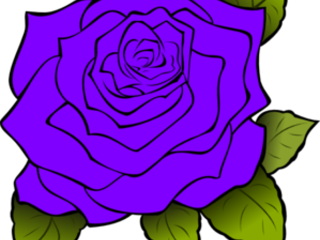 Purple Rose Clipart - Uncoloured Pictures Of Flowers (640x480), Png Download