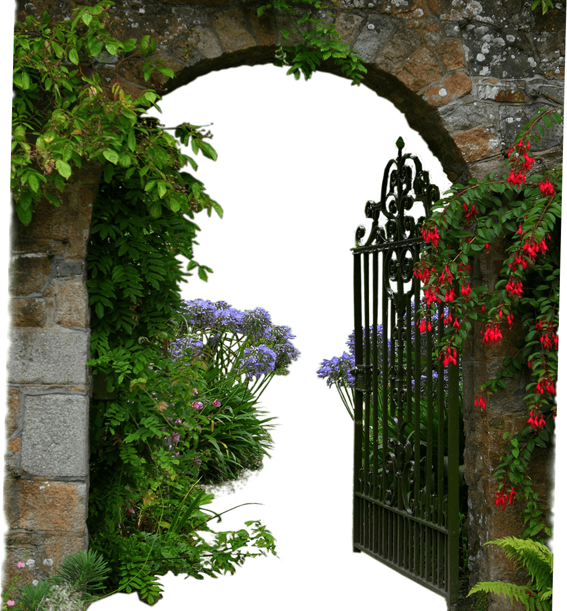 About-252 - Garden (1125x1213), Png Download