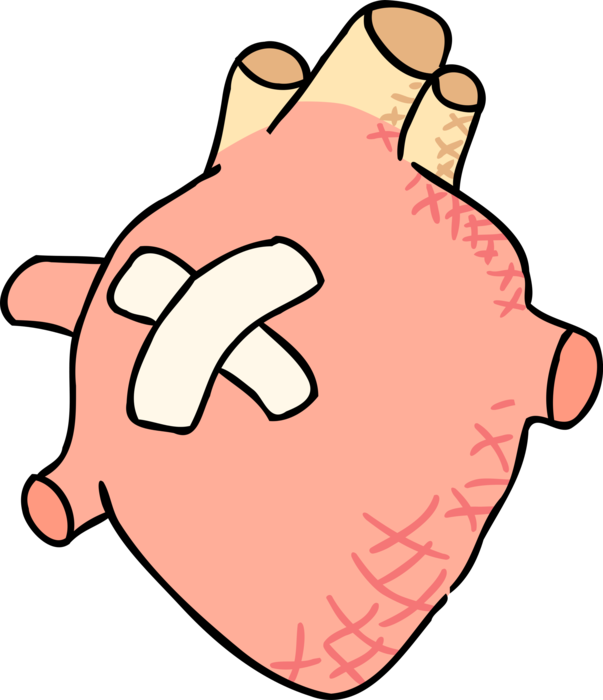 Vector Illustration Of Human Heart With Band-aid - Coração Humano Desenho Png (603x700), Png Download