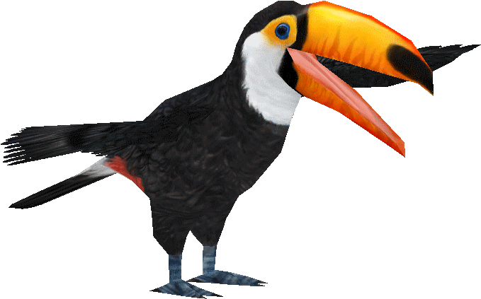 Tocotoucanad - Toucan (693x693), Png Download