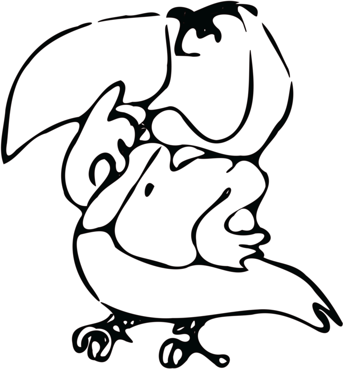 Drawing Computer Icons Line Art Black And White Toucan - Drawing (750x750), Png Download