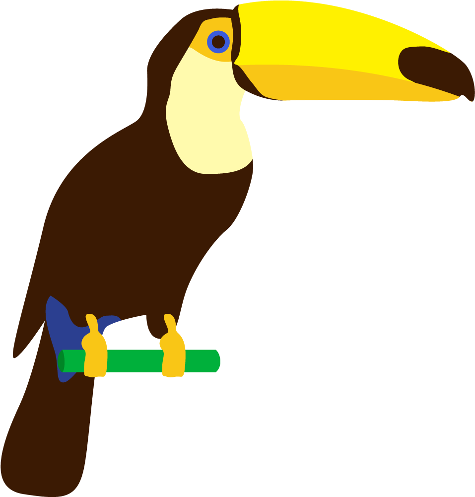 1000 X 1000 9 - Desenho De Papagaio Em Png (1000x1000), Png Download