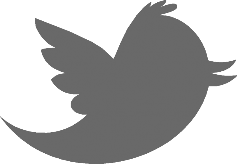 Thank The Members Of The Senate And House Appropriations - Twitter Logo Gray Png (800x554), Png Download