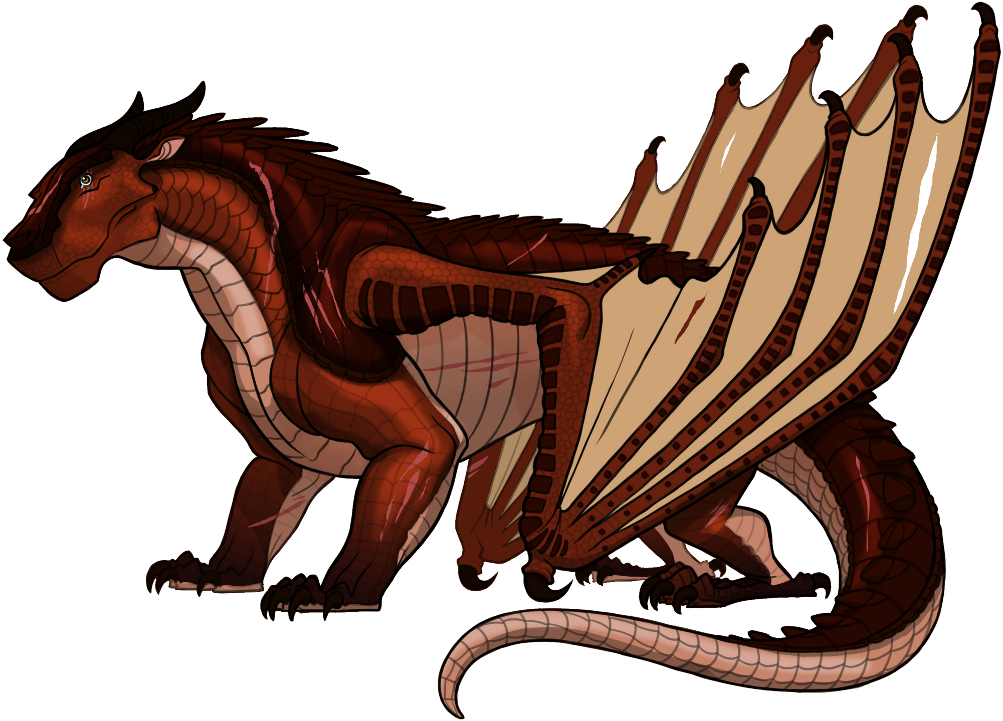 Cinnamon The Mudwing Wings Of Fire Fanon - Clay Wings Of Fire (2000x1457), Png Download