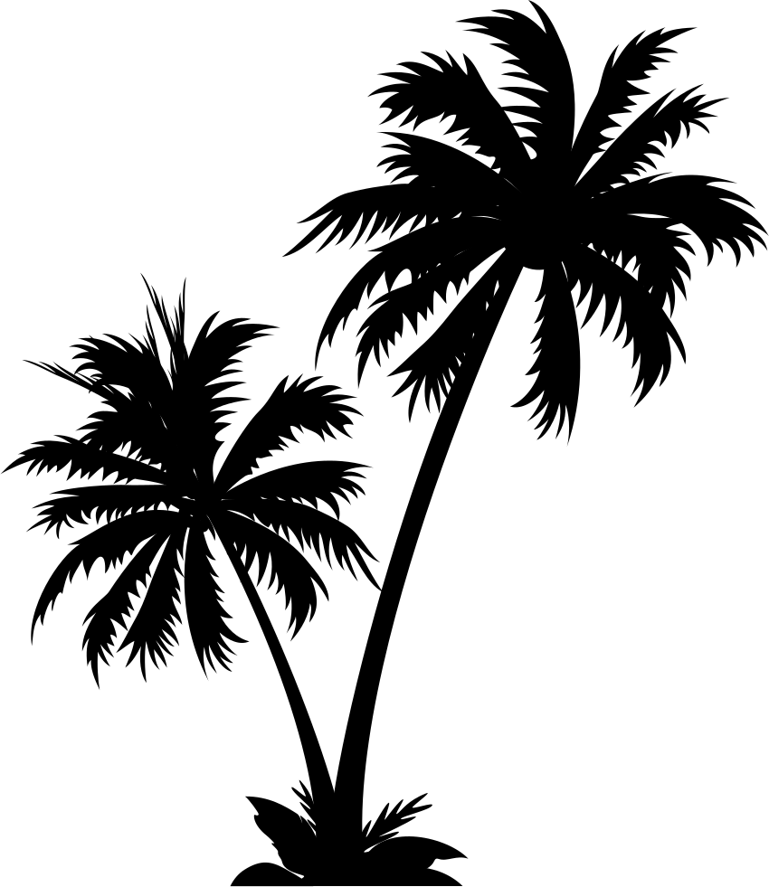 Coconut Tree - - Bestickers Wall Vinyl Sticker Decals Mural Room Design (850x981), Png Download