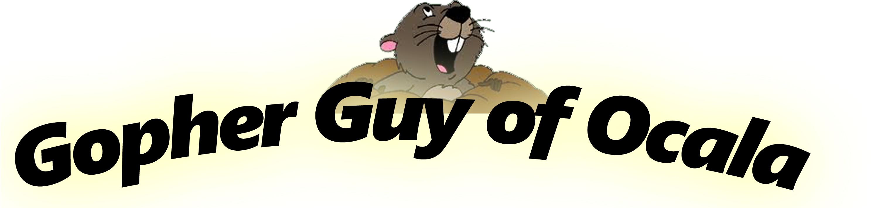 Gopher From Winnie The Pooh (3000x850), Png Download