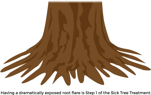 Trees Succumb To Insect Pests And Diseases Because - Water (521x348), Png Download