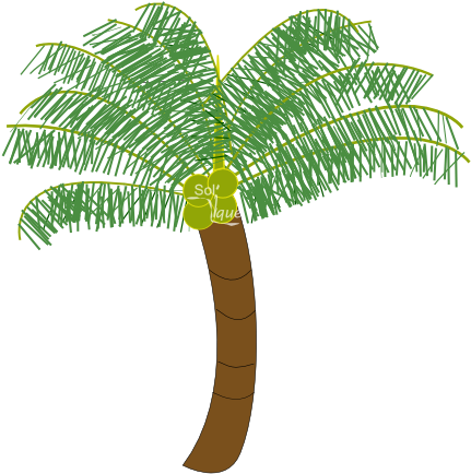 New Coconut Tree Images Free Download Coconut Tree - Digital Art (448x448), Png Download