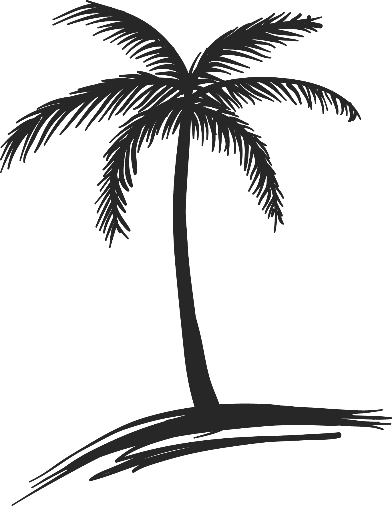 Free Cartoon Palm Tree Png - Beach Palm Trees Drawings (1371x1772), Png Download