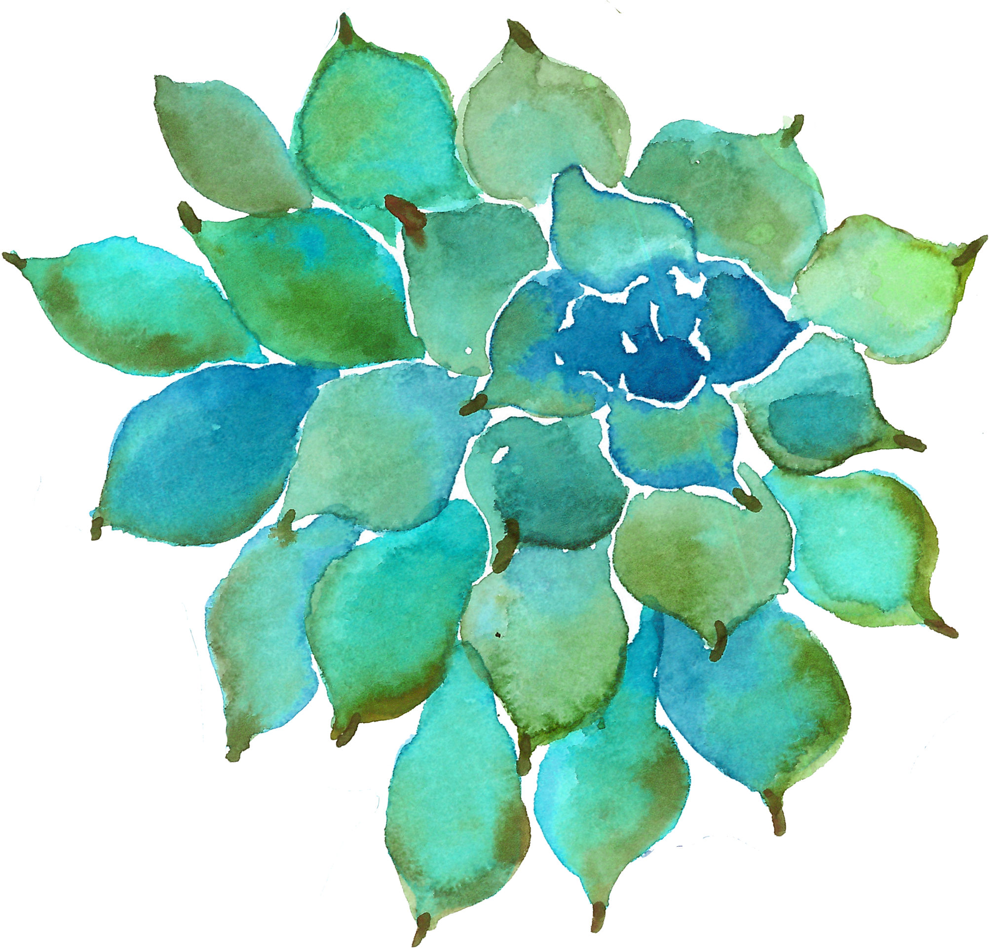 Watercolor Succulent Png Image - Pastel Votanical Garden Backpack By Haroulita (2065x1919), Png Download