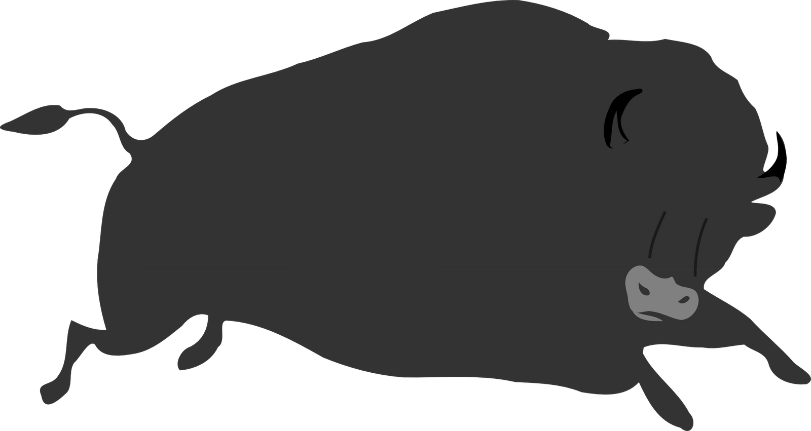 Custom Grey Buffalo Shower Curtain (1600x851), Png Download