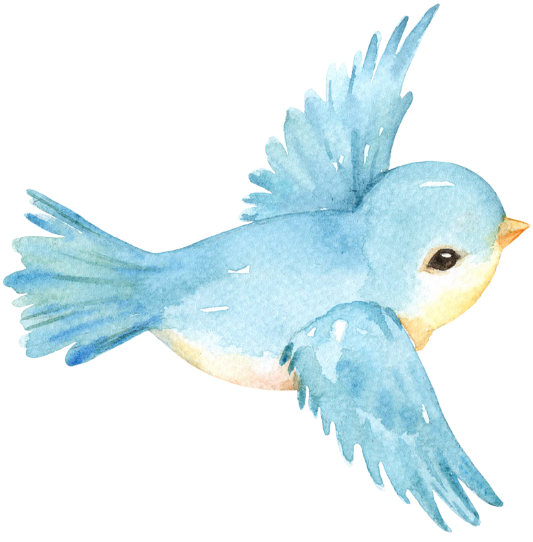 Image Du Blog Zezete2 - Bird (800x800), Png Download