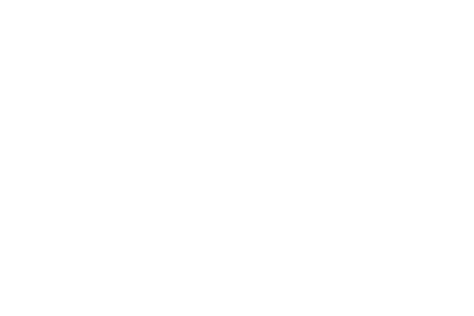 White Lens Flare Png Lens Flare Abundant Life Gp - French Flag 1815 1830 (1920x1080), Png Download