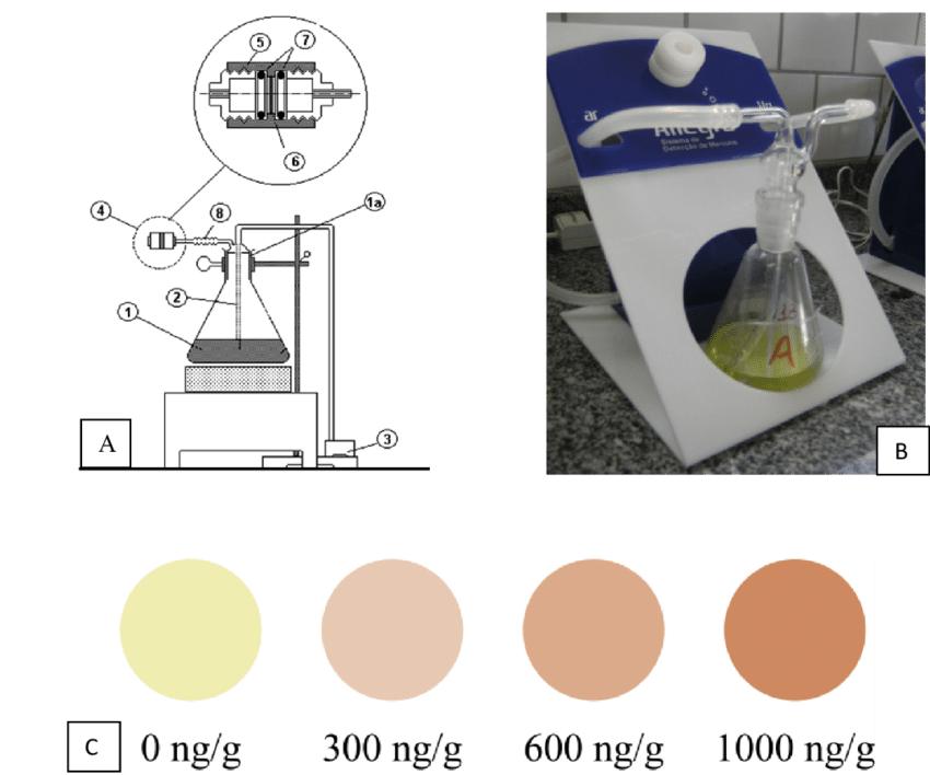 A) Determination System Of Mercury In Fish And Environmental - Common Fig (850x708), Png Download