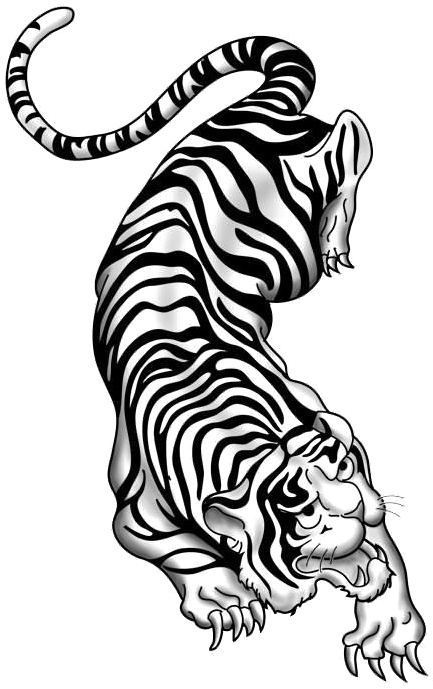Tiger Tattoos Png Picture - Traditional Chinese Tattoo Tiger (432x697), Png Download
