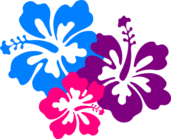 Hibiscus Flowers Png - Hibiscus Clip Art (600x490), Png Download