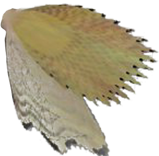 I Bore The Necessary Responsibilities Of Scheduling - Vaux S Swift (658x373), Png Download