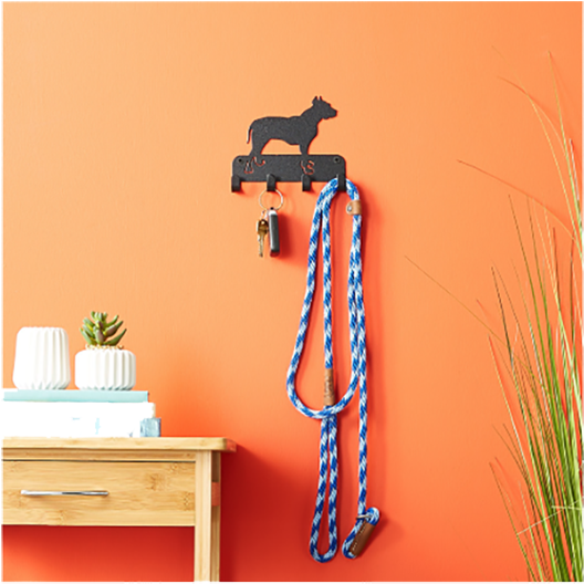 Something For The Organized - Pit Bull (800x680), Png Download